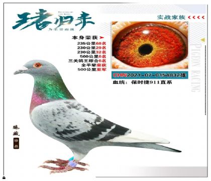 保時捷911直系  本身榮獲500公里亞