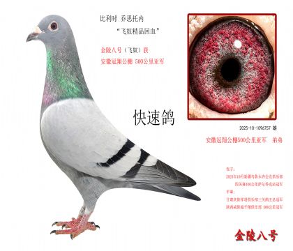 2r(sh) ˼Ѓ(ni)wūƷѪ