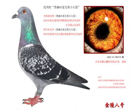 5r(sh)ղɭ03˹С