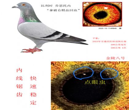 7r(sh) ˼Ѓ(ni)ƁƷѪ