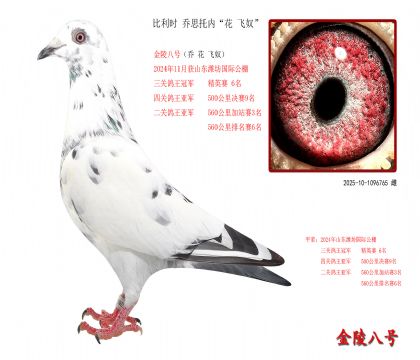 8r(sh) ˼Ѓ(ni) wū