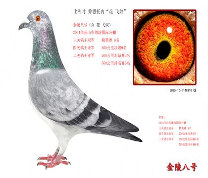 9r(sh) ˼Ѓ(ni) wū