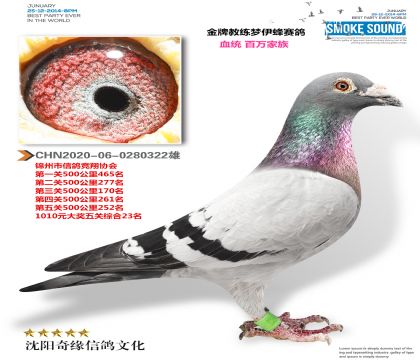 金牌教練夢伊蜂(1010元大獎綜合23名)百萬家族