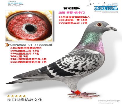 700公里季軍 550公里4名 500公里5名