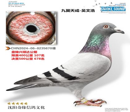 九翼天成-吳文浩(興順達(dá)預(yù)賽107名決賽678名)