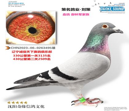策名鴿業(yè)-劉策(御林軍大本營)