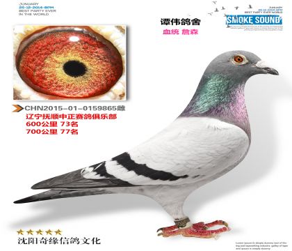 老詹森(700公里77名)超級金母