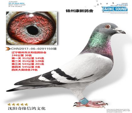 新康鴿業(yè)(550公里8名)