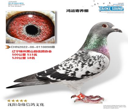 鴻運寄養(yǎng)棚(520公里18名)