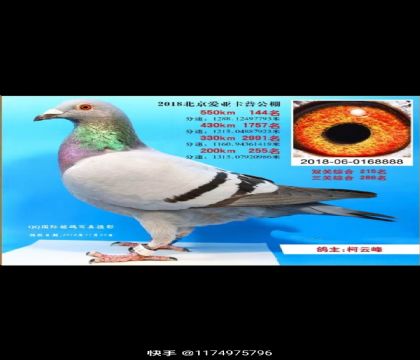 ہ՛Qِ144ղɭĸ8888