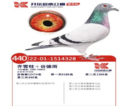 開爾愛心公棚(青年隊(duì))515公里決賽440名   雄