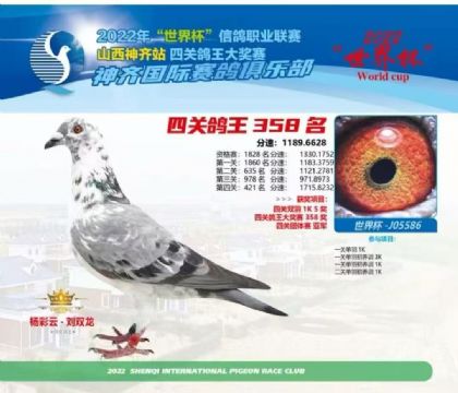 山西神齊國際賽鴿俱樂部四關(guān)綜合358名   雌