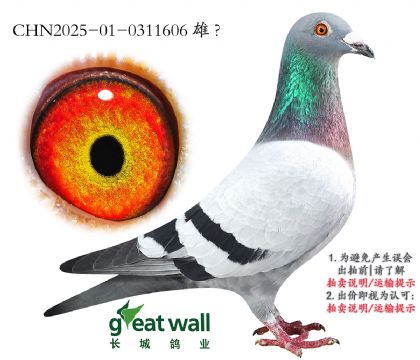 9.sҫ̖(ho)O.0311606