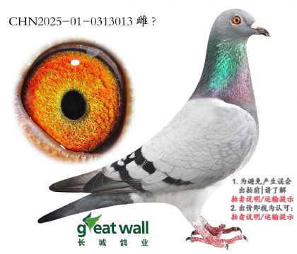 12._(chung)18Ӵ.0313013