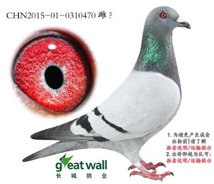 11.l(wi)P(gun)܊Ӵ.0310470