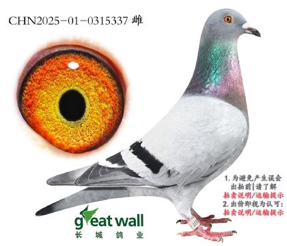 16.ػʍuP(gun)܊ƽ݅.0315337