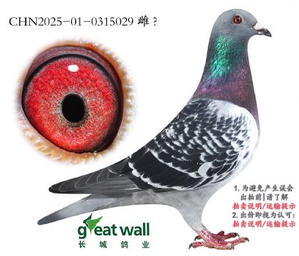 17.\(yn)848Ӵ.0315029