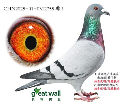 18.ؠѩC(j)Ӵ.0312755