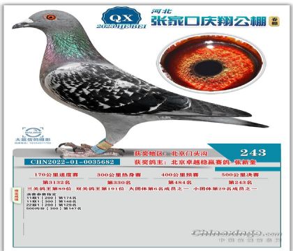 张家口庆翔公棚春棚500公里决赛243名   雌
