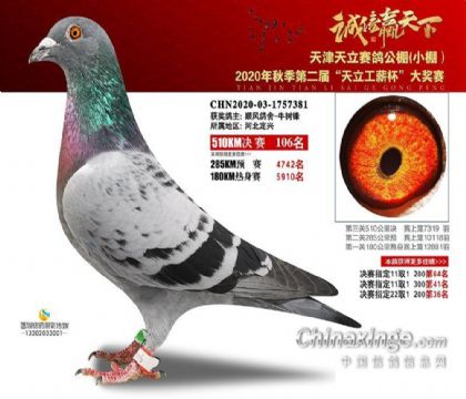 天津天立公棚小棚510公里决赛106名   雄