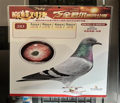 照片隨鴿發(fā)送