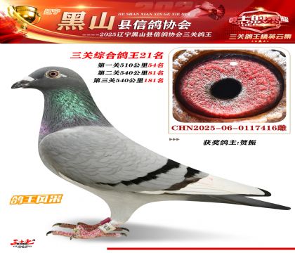 黑山鴿協(xié)三關鴿王21名