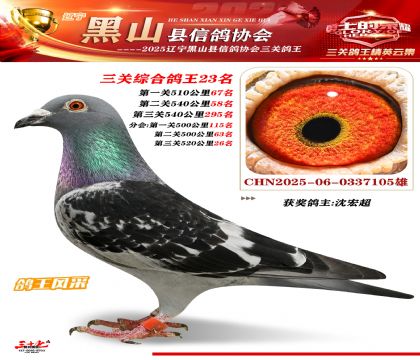 黑山鴿協(xié)三關鴿王23名