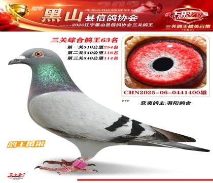 黑山鴿協(xié)三關鴿王63名