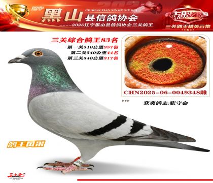 黑山鴿協(xié)三關鴿王83名