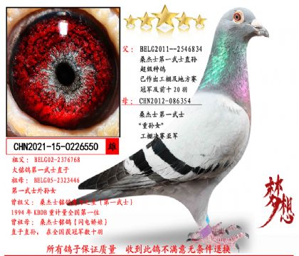 ɣʿһʿֱOXɣʿһʿ،OŮ