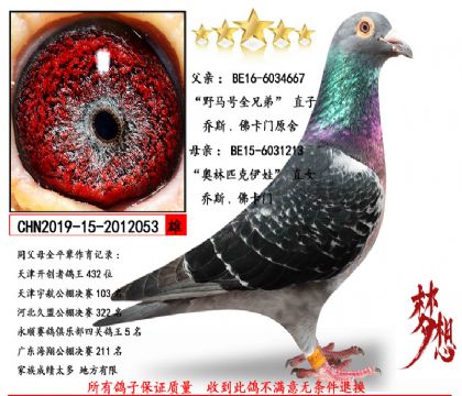 ҰR̖ȫֵܡֱXWƥޡֱŮ 1000ԪC