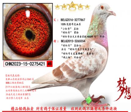 ǲˡСtֱ̖OXütֱ̖OŮ