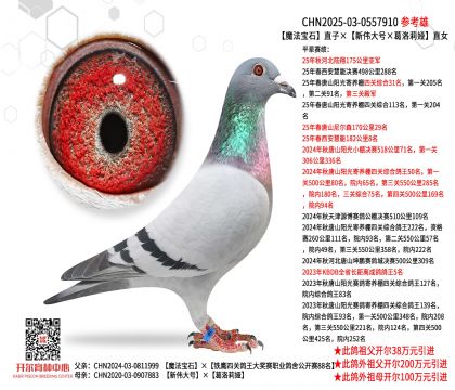 ħʯֱӡ̖(ho)IֱŮ