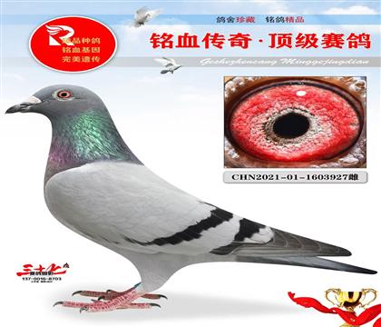 uʢQِ138