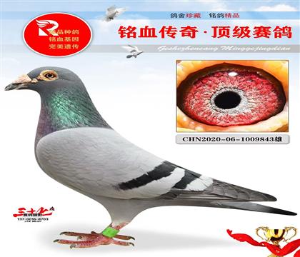 䌦ֱ