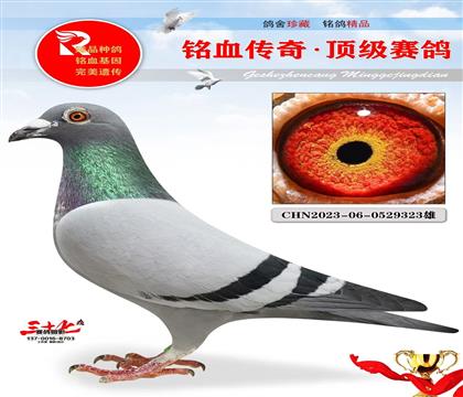 䌦ֱӡֱŮ  Ѫ