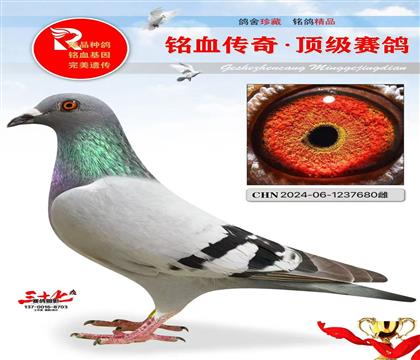 䌦Ӵ