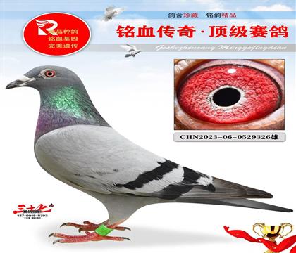 䌦ֱ