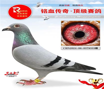 䌦ֱ333̖