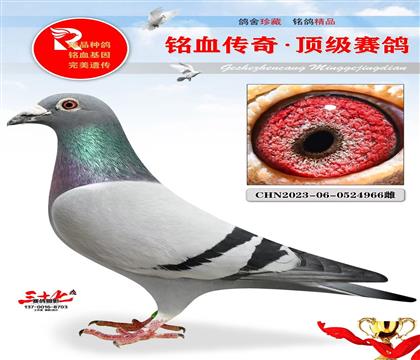 䌦؄eõһֻ