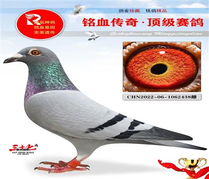 ^ֱO䌦ֱŮ