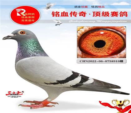 ^ֱO䌦ֱŮ