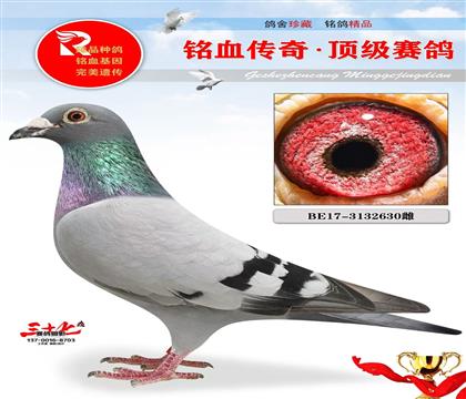 һ̖ĸwԭ