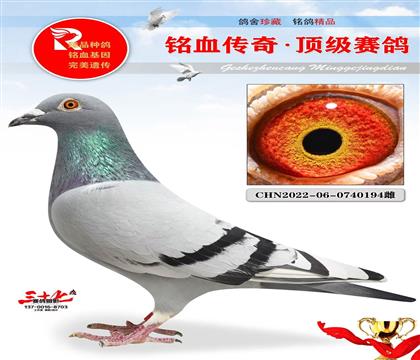 ֱؕӡr911ֱŮ