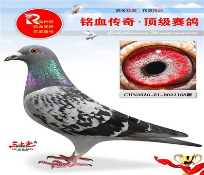 һ̖(ho)Rղɭ
