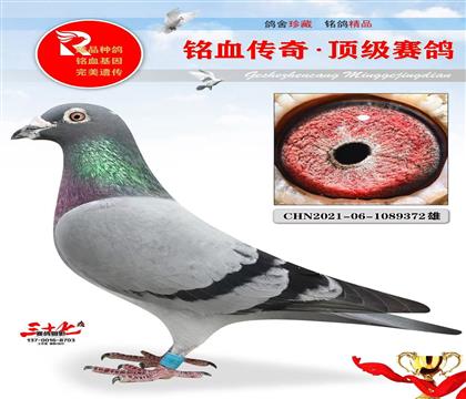 蹫69