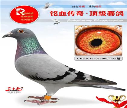 Ұ19Ϲ13