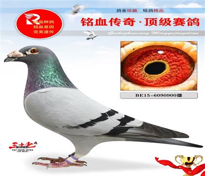 900ֱ̖̖
