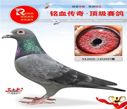 ZLֱ̖OŮ