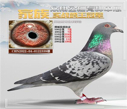 338Ӣ˹P(gun)ِλ